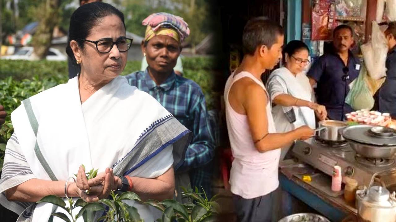 mamata banerjee making tea in chalsa tea shop