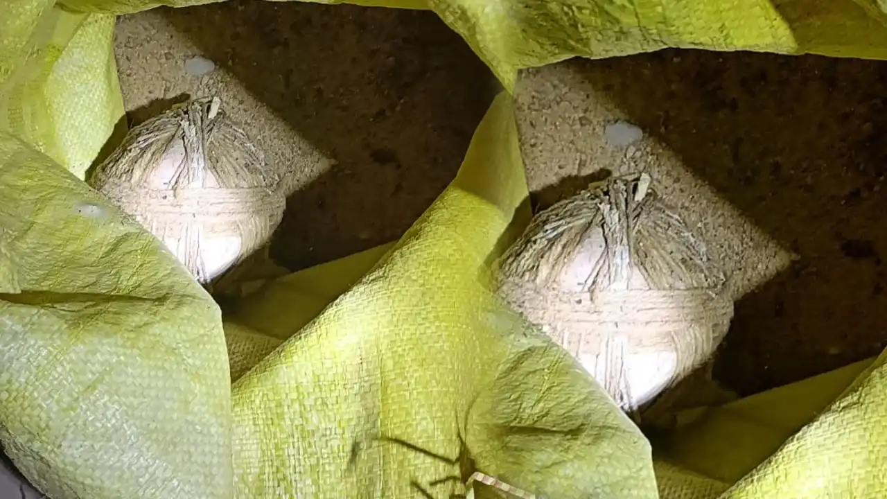 Bombs recovered from Egra Purba Medinipur