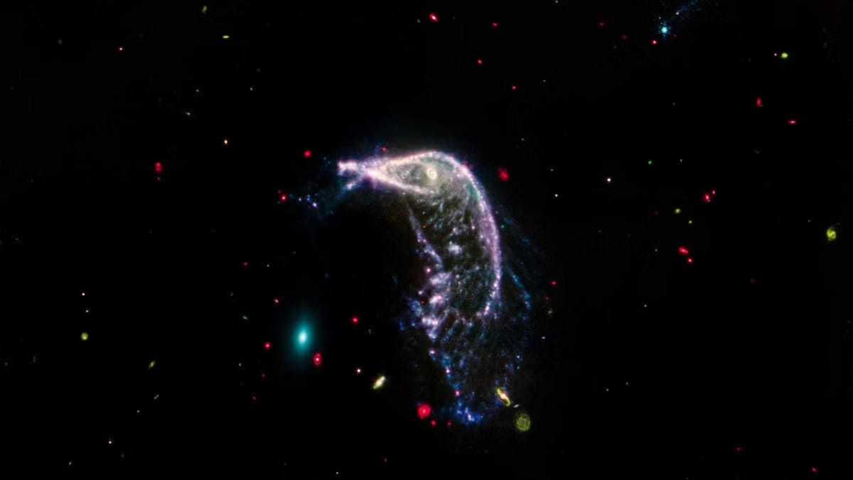  NASA scientists were shocked when they caught the strange picture.