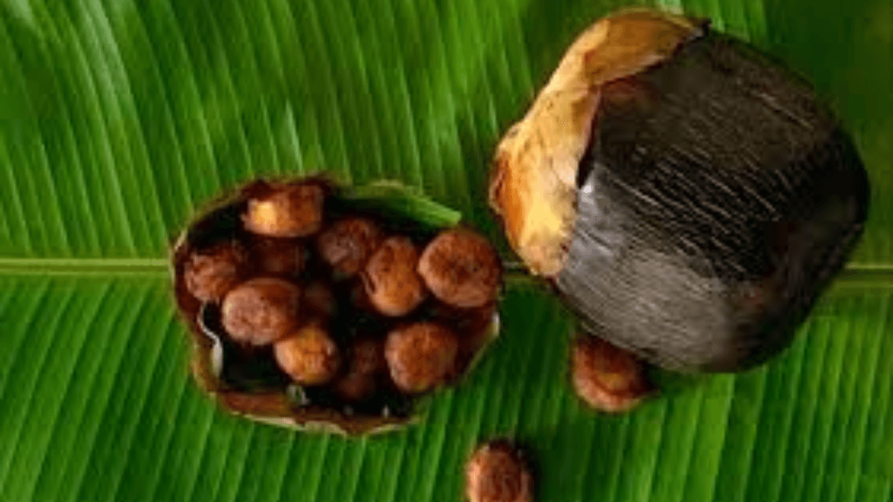 Janmasthami 2024 
