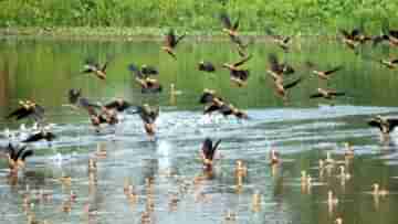 Jhargram 
