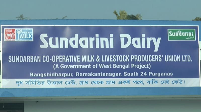 Sundarini Project 