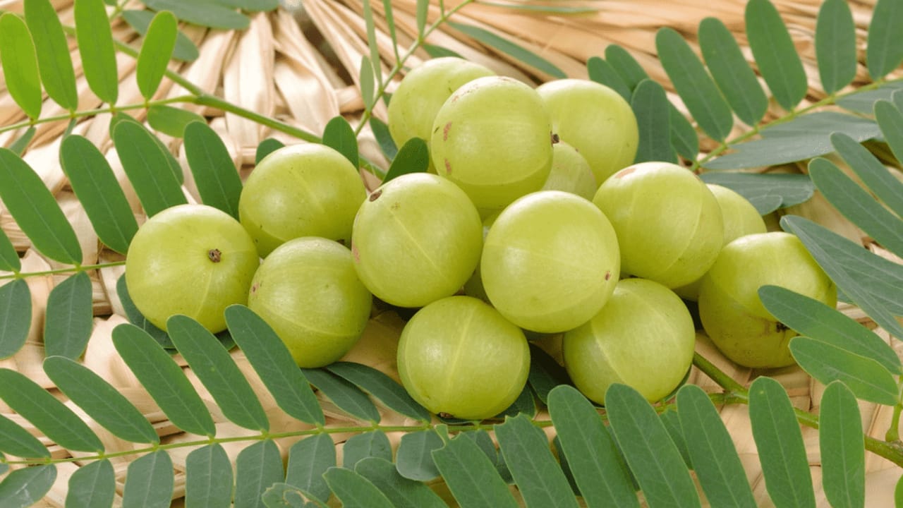 Amla