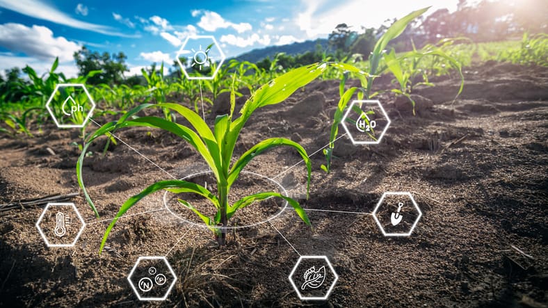 Artificial Intelligence effects on agriculture.
