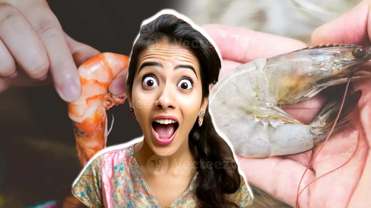 Prawn