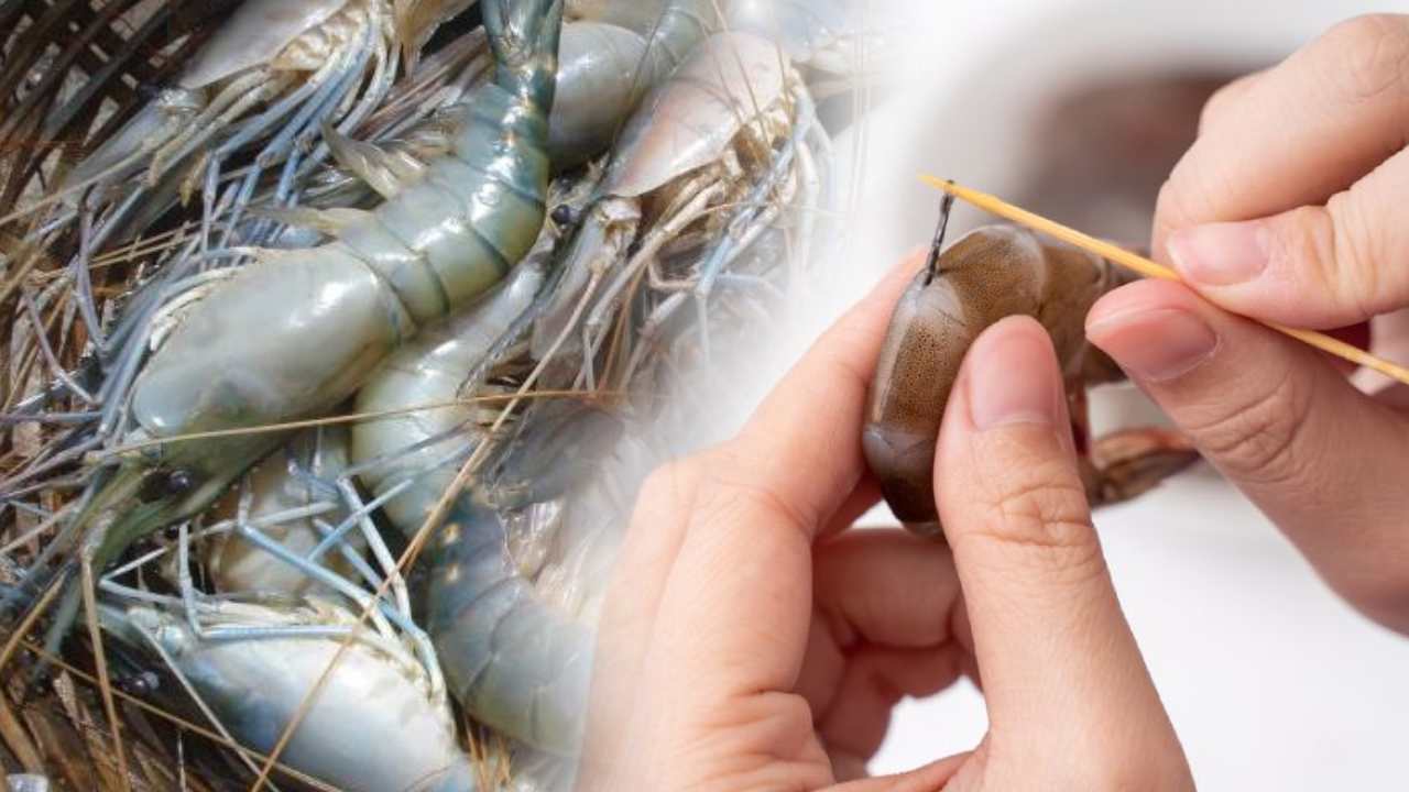 Prawn