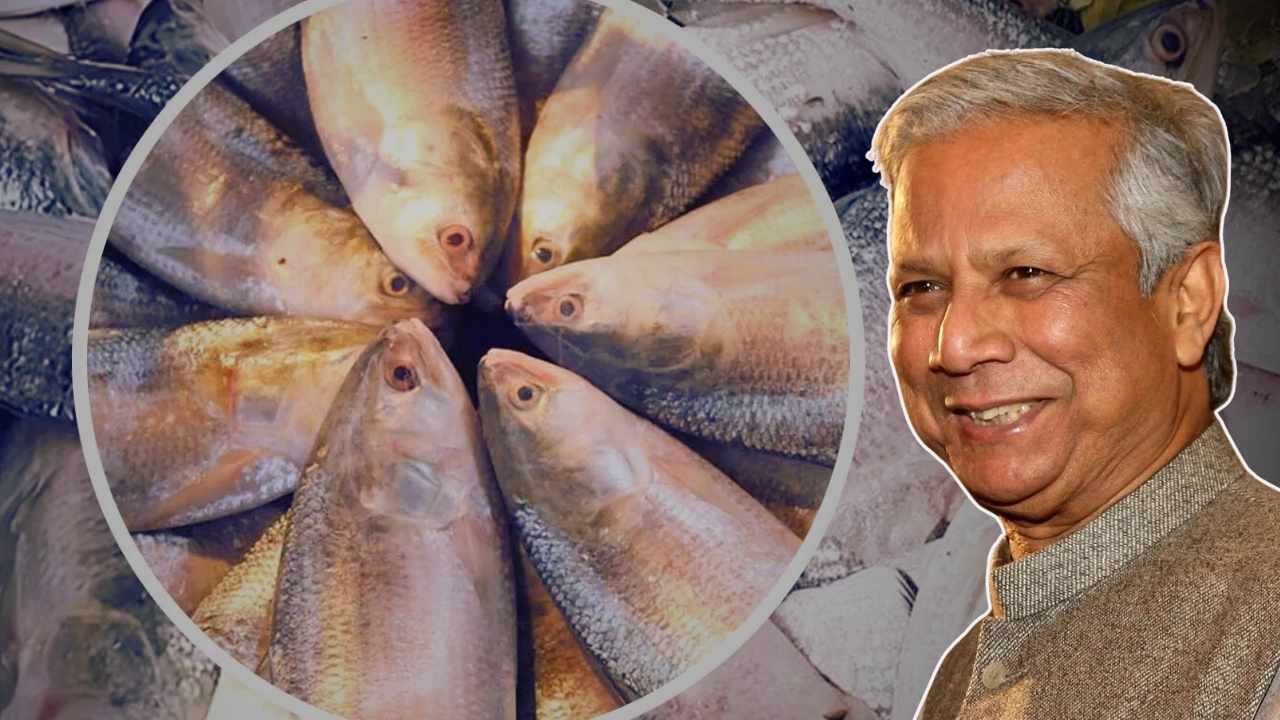 India-Bangladesh ilish import update