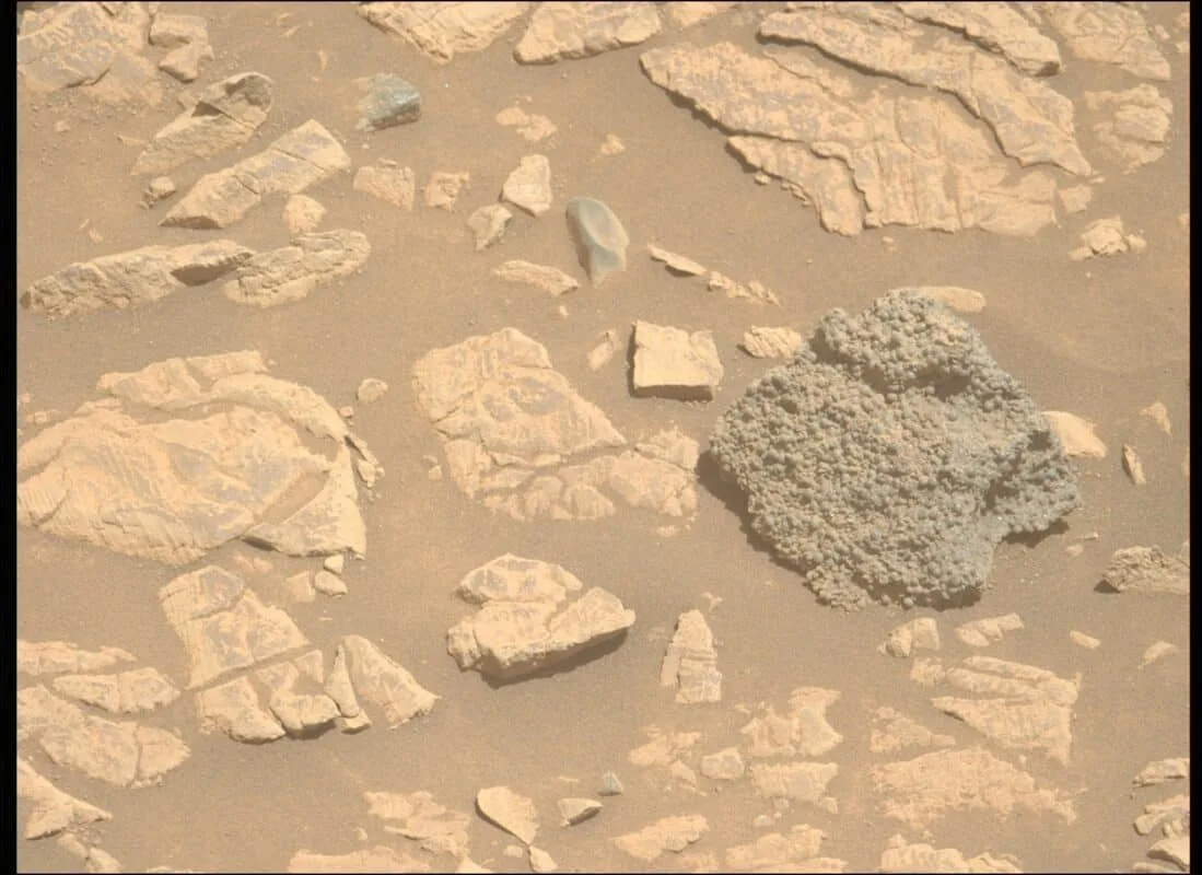 Scientists got big information in NASA-Mars project 