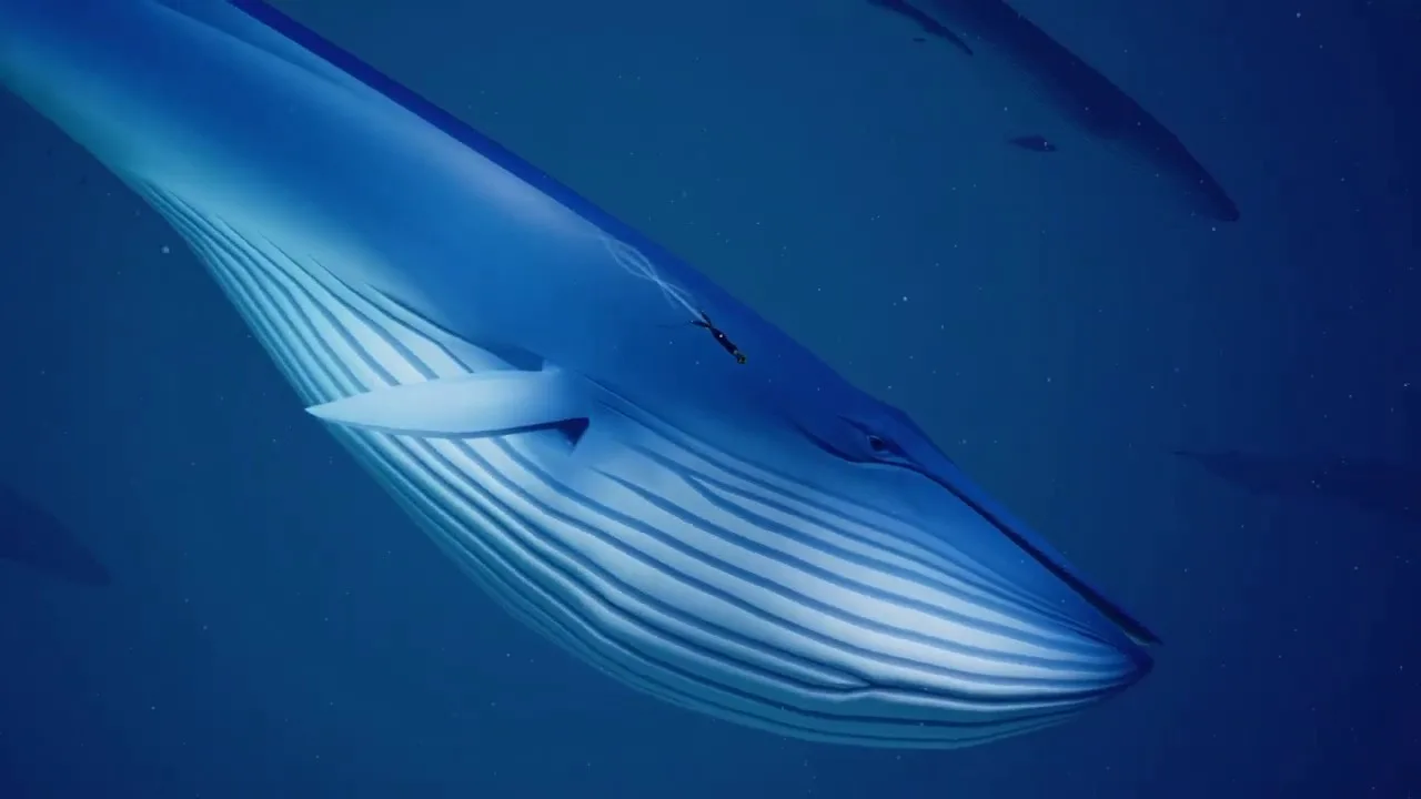 Blue whale horror returns in this school incident in India 