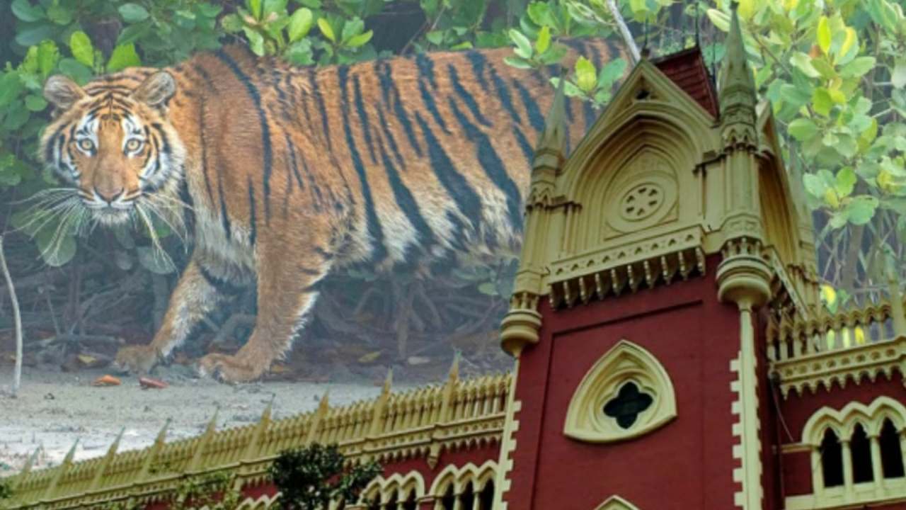 Three families will get compensation after calcutta high court order 