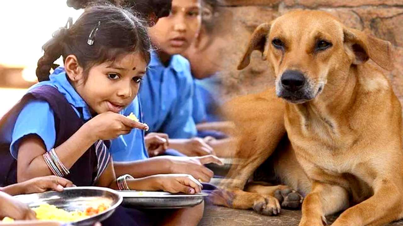 Mid Day Meal