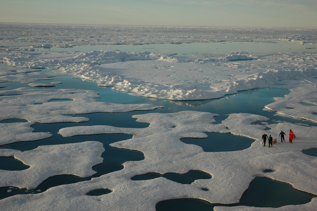 Scientist research for Arctic 