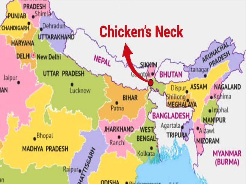 Importance of chickens neck in India