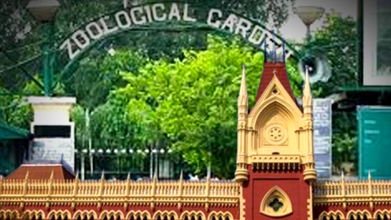 PIL filed in Calcutta High Court about selling Alipore Zoo land